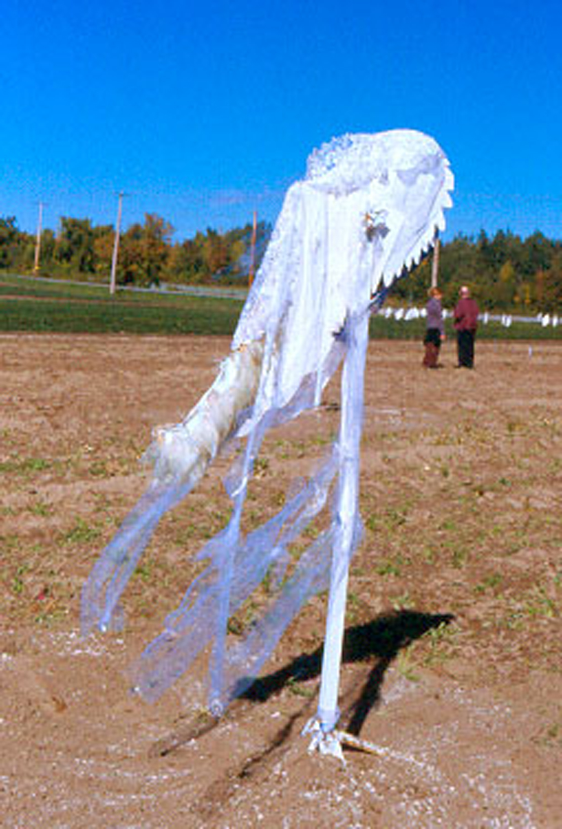 Plantierres1.jpg - 743,5 KB